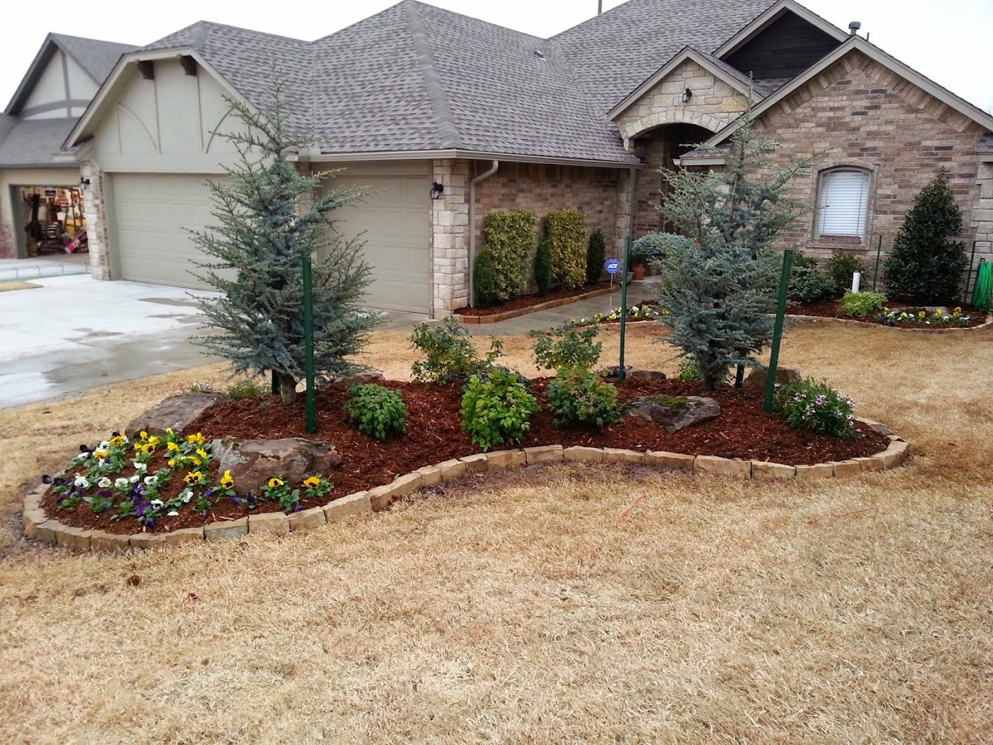 A mulched landscape island with shrubs and pansies bordering a Moore home's driveway